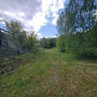 Prairie présente sur le site