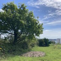 Vue sur mer et espace de pelouse arborée