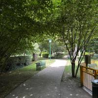 chemin de circulation du parc 
