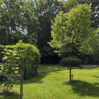 Pelouse arborée 