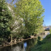 Berges du site