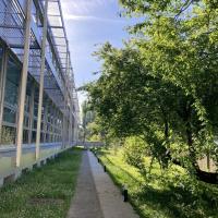Abords végétalisés du bâtiment