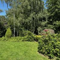 Pelouses du parc 