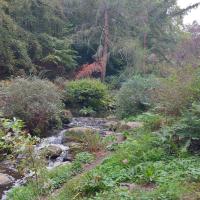 Vue du ruisseau présent au sein du parc