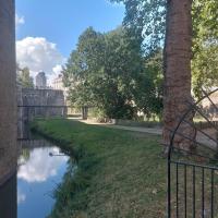 Vue sur la ripisylve et le boisement du parc