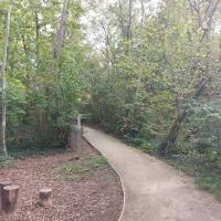 Audit - Bois de l'Aurore - 2026 