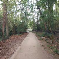 Audit - Bois de l'Aurore - 2026 