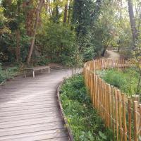 Audit - Bois de l'Aurore - 2026 