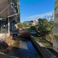 Bassin végétalisé présent sur le site