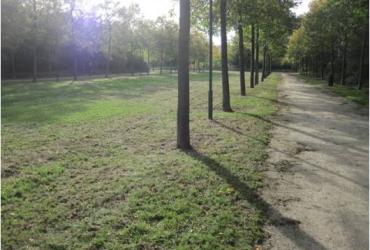 Coulee_verte_Parc_Sports_Gennevilliers©Arp-Astrance_2013 (2).jpg