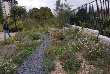 Jardin_Plantes_Orleans©Arp-Astrance_2020 (8).jpg