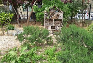 Jardin_Saint-Paul_Narbonne©Oreade-Breche_2021.jpg