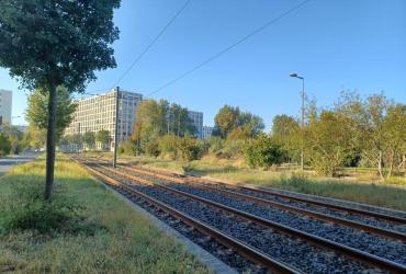 Parc_Buhler_Bordeaux-Metropole©HederaVilleDurable_2023 (26).jpg