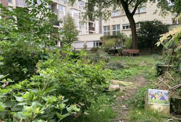 Jardin partagé