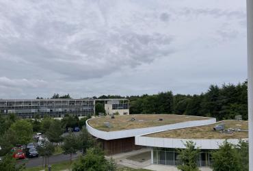 Vue aérienne des toitures végétalisées