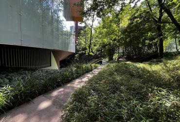 Jardin du musée du Quai Branly – Jacques Chirac. ©ARP Astrance
