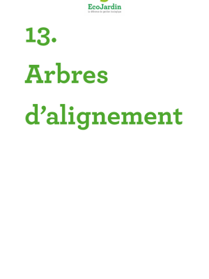 arbres alignement 